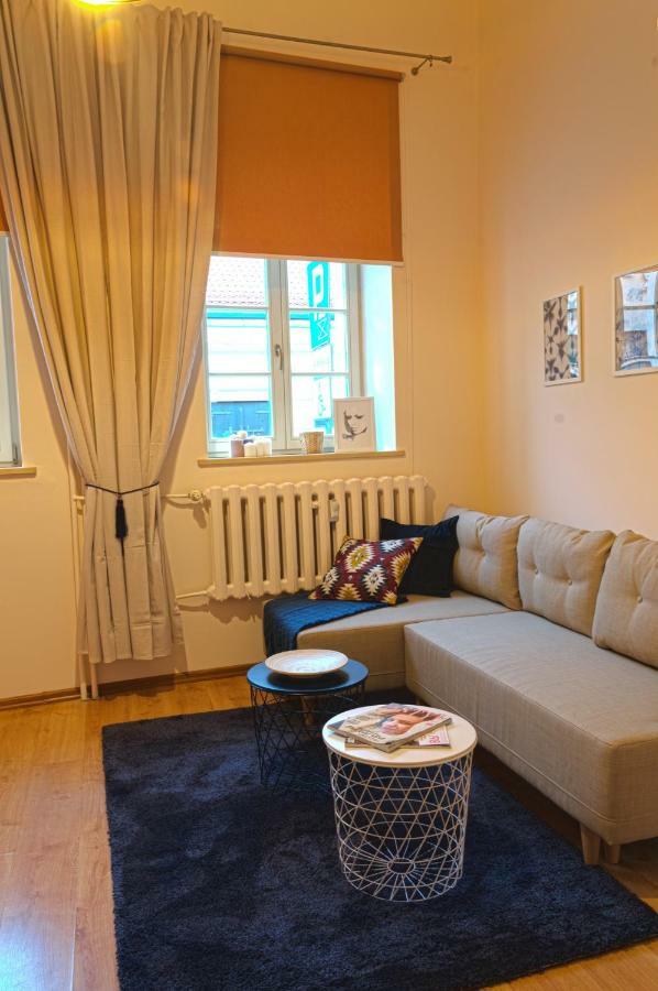 Apartament Ducha No'7 Stary Toruń Buitenkant foto